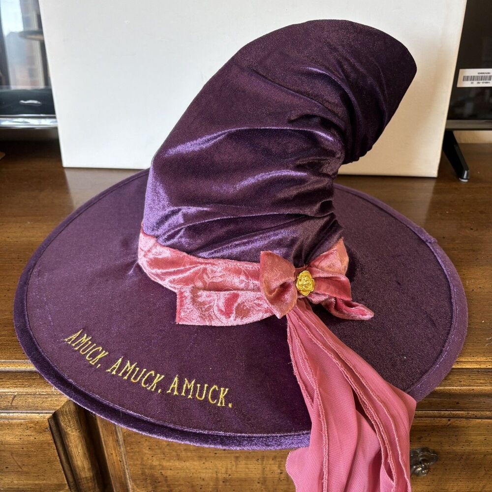 Deluxe Disney Hocus Pocus Purple Witch's Hat Adult Size Velour Halloween Costume